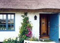 Health care, healthcare, alternative medicine, natural health products, 